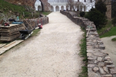 IMG_1829 (1)